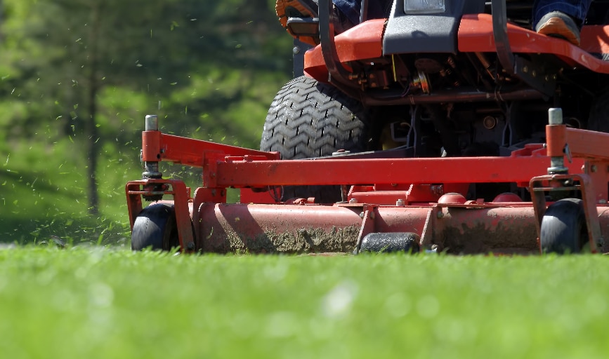 RESIDENTIAL LAWN MAINTENANCE
